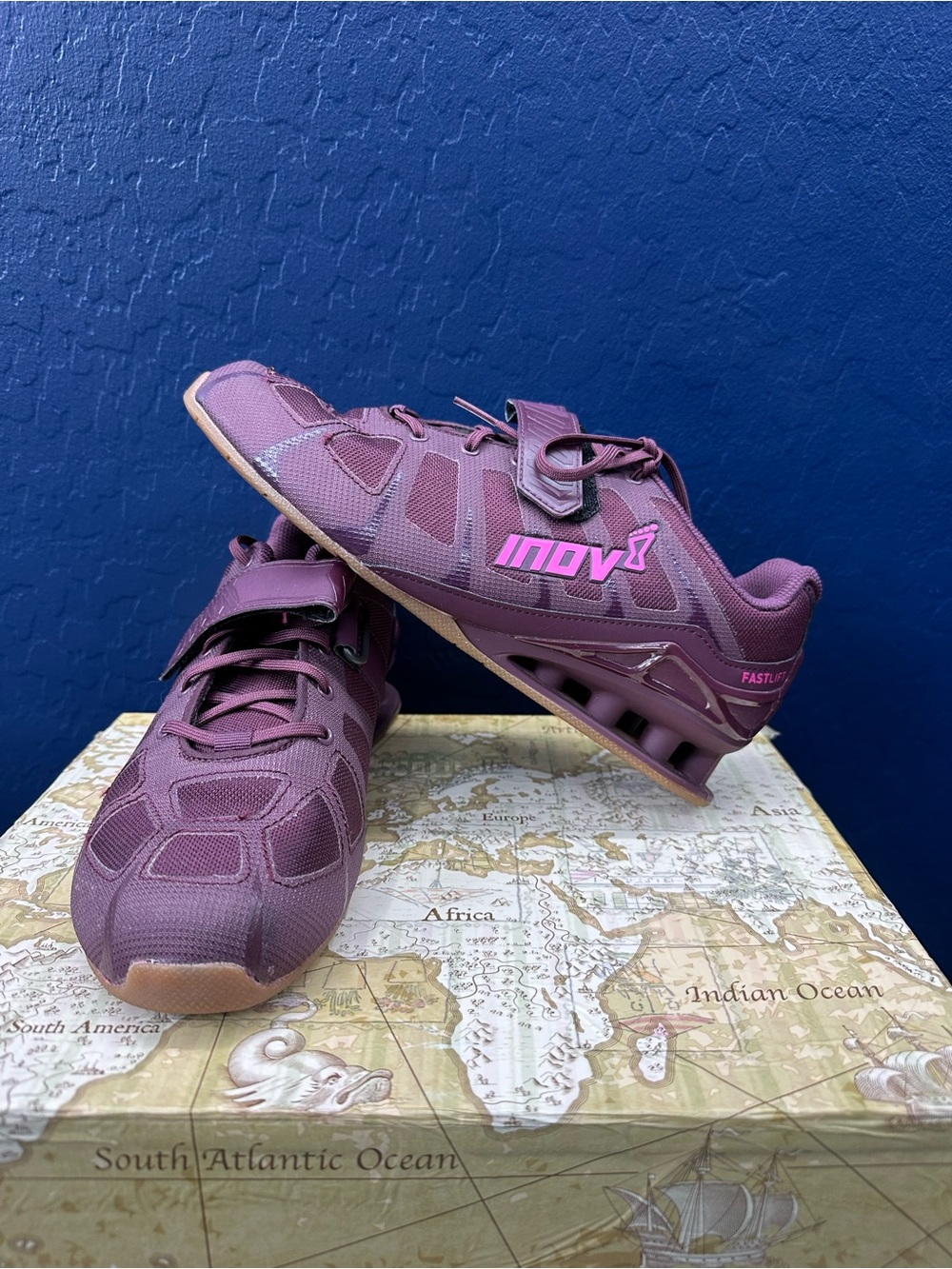 Inov-8 deep Burgundy Training Shoes
